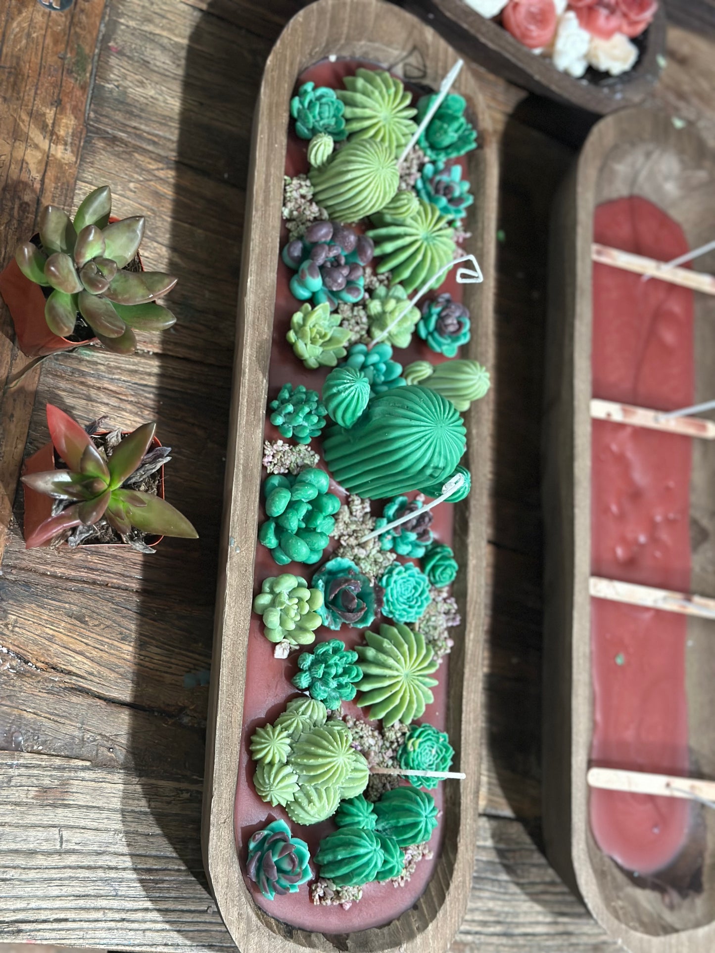 Cactus Garden Candle